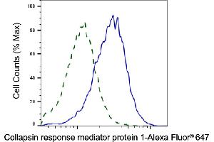 Validation of Collapsin response mediator protein 1 knockdown using flow cytometry. (Recombinant CRMP1 anticorps)