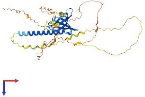 AlphaFold protein structure predicition of Human Recombinant PHLDA1 Protein, UniprotID Q8WV24