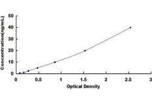 Typical standard curve