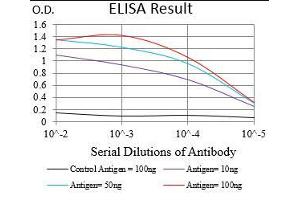 anti-beta-2-Microglobulin (B2M) (AA 21-100) antibody