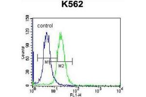 Flow cytometric analysis of K562 cells using Follicle-stimulating hormone / FSH Antibody (Center) Cat.