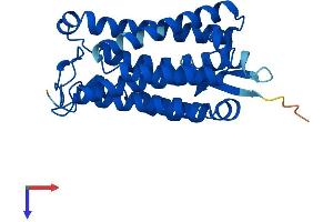 AlphaFold protein structure predicition of Human Recombinant ACER1 Protein, UniprotID Q8TDN7