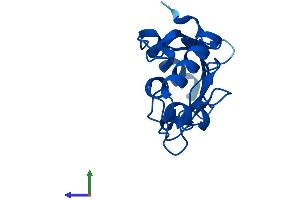 AlphaFold protein structure predicition of Human Recombinant UBE2L6 Protein, UniprotID O14933