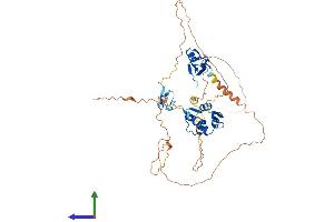 AlphaFold protein structure predicition of Mouse Recombinant Mdm4 Protein, UniprotID O35618