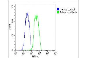 Overlay histogram showing HepG2 cells stained with C(green line).