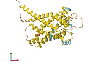 AlphaFold protein structure predicition of Human Recombinant UCP2 Protein, UniprotID P55851