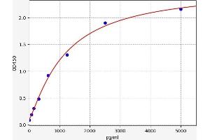 Typical standard curve (TRUB1 Kit ELISA)