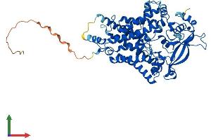 AlphaFold protein structure predicition of Human Recombinant LMF1 Protein, UniprotID Q96S06