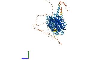 AlphaFold protein structure predicition of Human Recombinant SLC12A1 Protein, UniprotID Q13621