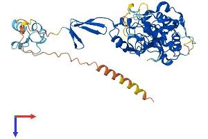 AlphaFold protein structure predicition of Human Recombinant TINAG Protein, UniprotID Q9UJW2