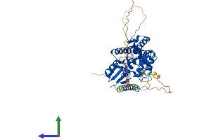 AlphaFold protein structure predicition of Human Recombinant FAXC Protein, UniprotID Q5TGI0