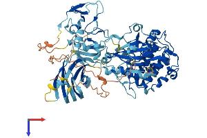 AlphaFold protein structure predicition of Mouse Recombinant Prkch Protein, UniprotID P23298
