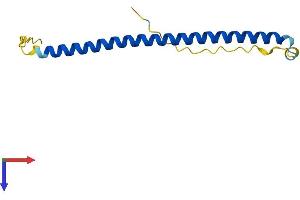 AlphaFold protein structure predicition of Human Recombinant BATF Protein, UniprotID Q16520