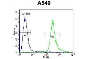 Flow Cytometry (FACS) image for anti-Leucine Rich Repeat Containing 6 (LRRC6) antibody (ABIN2996353)