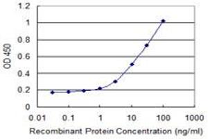 Detection limit for recombinant GST tagged NXF3 is 0. (NXF3 anticorps  (AA 1-531))