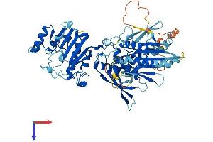 AlphaFold protein structure predicition of Mouse Recombinant Fdxacb1 Protein, UniprotID Q3UY23