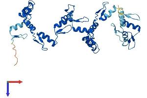 AlphaFold protein structure predicition of Human Recombinant ZNF883 Protein, UniprotID P0CG24