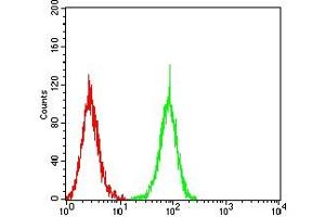 Flow cytometric analysis of HepG2 cells using TDP43 mouse mAb (green) and negative control (red).
