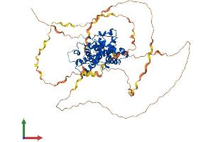 AlphaFold protein structure predicition of Mouse Recombinant Ccnk Protein, UniprotID O88874