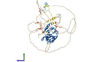 AlphaFold protein structure predicition of Human Recombinant MEPCE Protein, UniprotID Q7L2J0