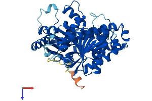 AlphaFold protein structure predicition of Mouse Recombinant Tubb4a Protein, UniprotID Q9D6F9