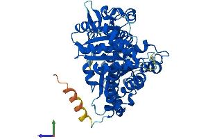 AlphaFold protein structure predicition of Mouse Recombinant Tubb3 Protein, UniprotID Q9ERD7