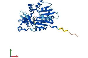 AlphaFold protein structure predicition of Mouse Recombinant Mettl6 Protein, UniprotID Q8BVH9