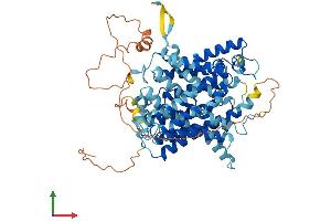 AlphaFold protein structure predicition of Mouse Recombinant Slc23a2 Protein, UniprotID Q9EPR4
