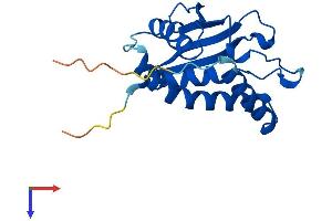 AlphaFold protein structure predicition of Human Recombinant TRAPPC3 Protein, UniprotID O43617