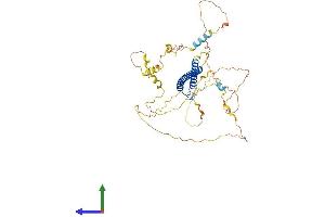 AlphaFold protein structure predicition of Human Recombinant MYCN Protein, UniprotID P04198