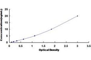 Typical standard curve (P-Cadherin Kit ELISA)