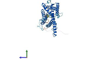AlphaFold protein structure predicition of Human Recombinant CLN6 Protein, UniprotID Q9NWW5