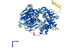 AlphaFold protein structure predicition of Human Recombinant DHX35 Protein, UniprotID Q9H5Z1