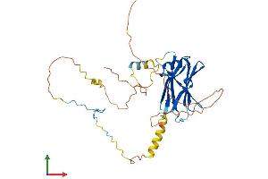 AlphaFold protein structure predicition of Human Recombinant PPP1R3C Protein, UniprotID Q9UQK1