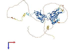 AlphaFold protein structure predicition of Mouse Recombinant Relb Protein, UniprotID Q04863