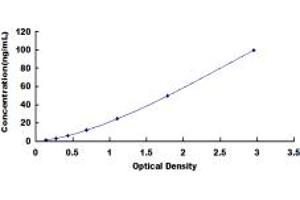Image no. 1 for Major Histocompatibility Complex, Class II, DR beta 1 (HLA-DRB1) ELISA Kit (ABIN1874349)
