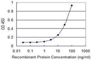 anti-Apolipoprotein B mRNA Editing Enzyme, Catalytic Polypeptide-Like 3C (APOBEC3C) (AA 91-190) antibody