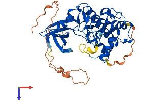 AlphaFold protein structure predicition of Mouse Recombinant Trib2 Protein, UniprotID Q8K4K3