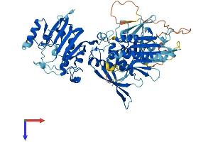 AlphaFold protein structure predicition of Human Recombinant FDXACB1 Protein, UniprotID Q9BRP7