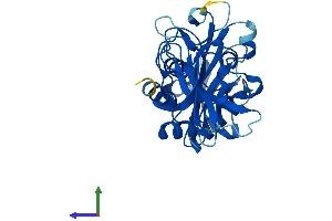 AlphaFold protein structure predicition of Mouse Recombinant Nudt18 Protein, UniprotID Q3U2V3
