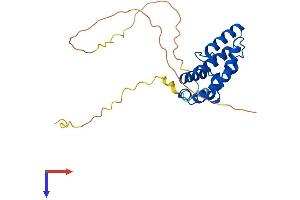 AlphaFold protein structure predicition of Human Recombinant RGS18 Protein, UniprotID Q9NS28