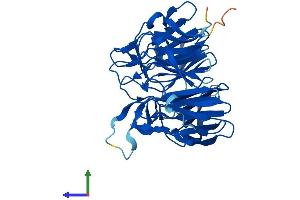 AlphaFold protein structure predicition of Human Recombinant KLHDC8B Protein, UniprotID Q8IXV7