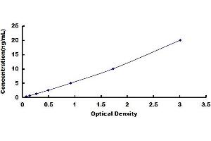 Adenylate Cyclase 3 (ADCY3) ELISA Kit