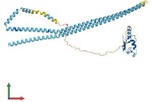 AlphaFold protein structure predicition of Mouse Recombinant Rnf26 Protein, UniprotID Q8BUH7
