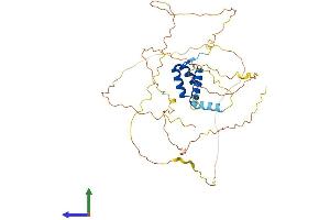 AlphaFold protein structure predicition of Human Recombinant EVX1 Protein, UniprotID P49640