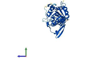 AlphaFold protein structure predicition of Human Recombinant UPP2 Protein, UniprotID O95045