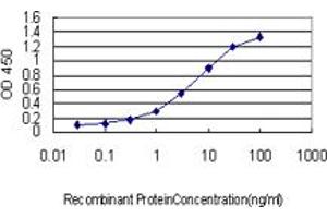 Detection limit for recombinant GST tagged RAB39B is approximately 0.