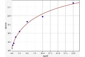 Typical standard curve (CYP11A1 Kit ELISA)