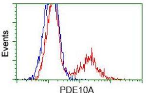 HEK293T cells transfected with either pCMV6-ENTRY PDE10A (RC211181) (Red) or empty vector control plasmid (Blue) were immunostained with anti-PDE10A mouse monoclonal (ABIN2453429, Dilution 1:1,000), and then analyzed by flow cytometry.