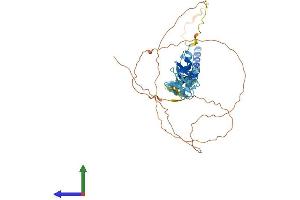 AlphaFold protein structure predicition of Human Recombinant WTIP Protein, UniprotID A6NIX2